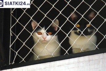 Siatki Kostrzyn - Dobra siatka balkonowa - na ptaki i dla kota dla terenów Kostrzyna