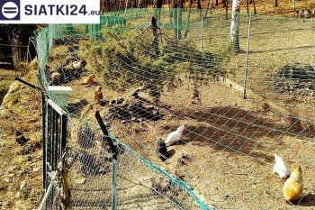 Siatki Kostrzyn - Siatka na woliery - zabezpieczenia ptaków w hodowli dla terenów Kostrzyna
