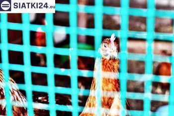 Siatki Kostrzyn - Siatka na woliery - zabezpieczenia ptaków w hodowli dla terenów Kostrzyna